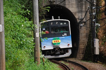 201四季彩
